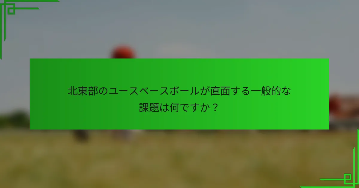 北東部のユースベースボールが直面する一般的な課題は何ですか?